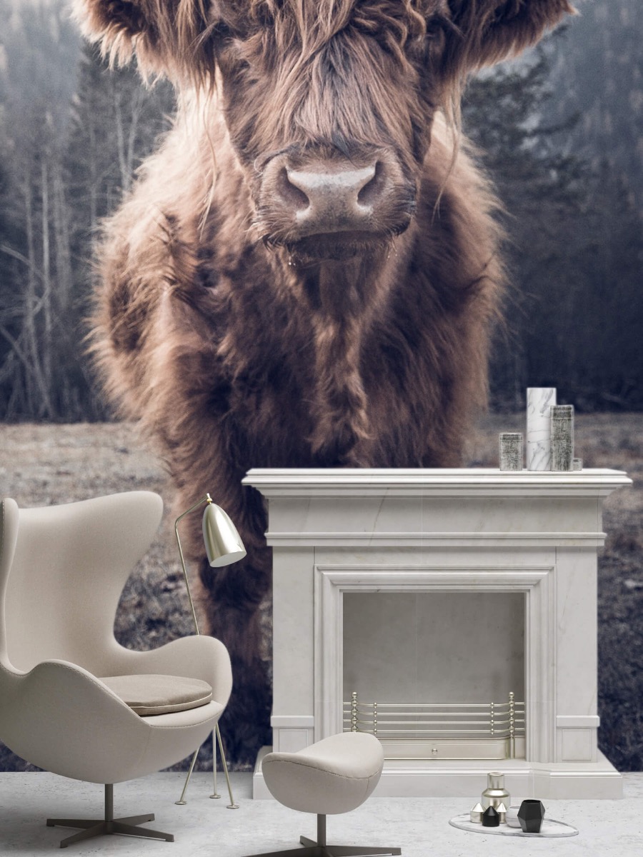 Schotse Hooglander Bij Het Bos Fotobehang