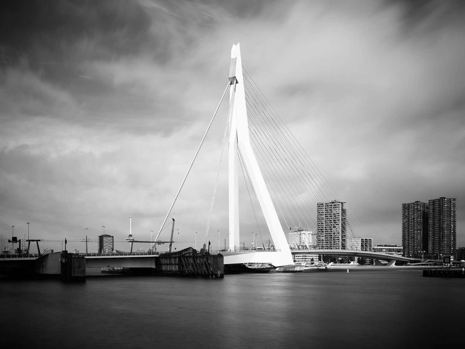 Rotterdam behang