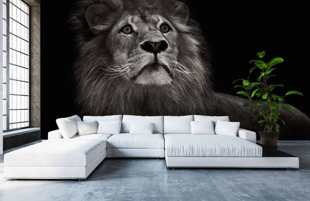 Lion and Lioness Portrait – Sfeervolle canvasprints – Photowall