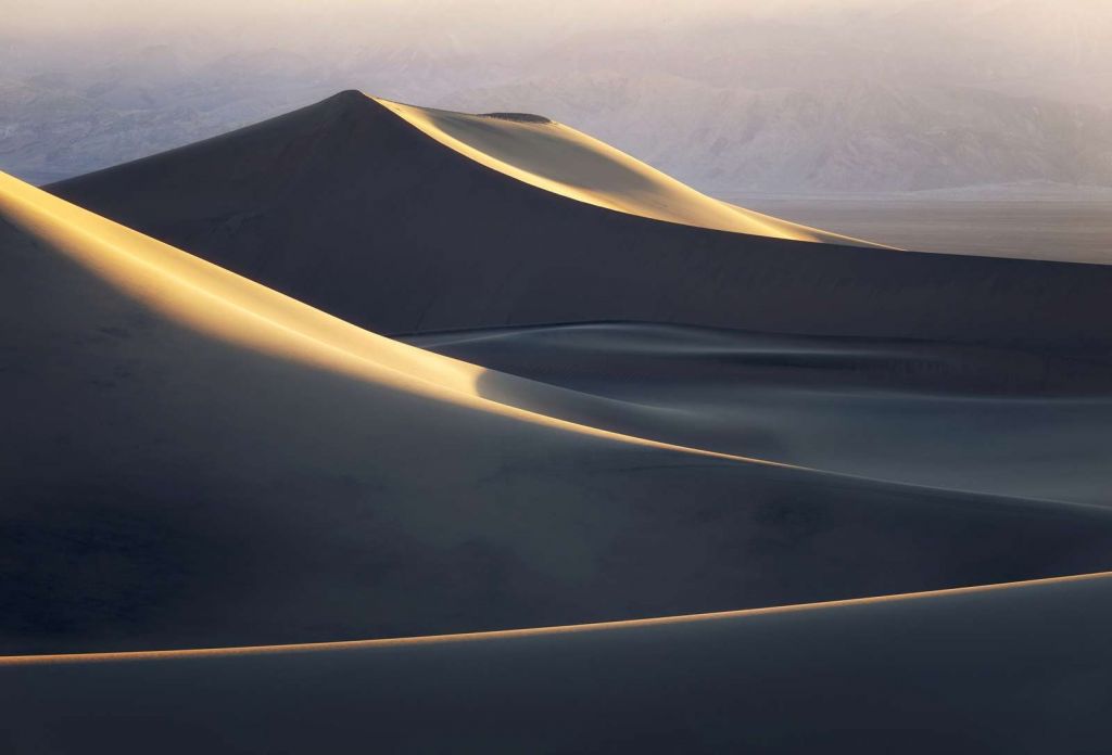 Dunes at Dawn