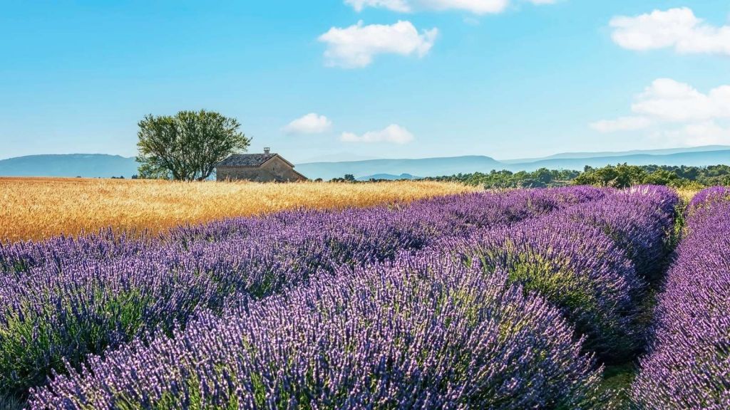 Provence