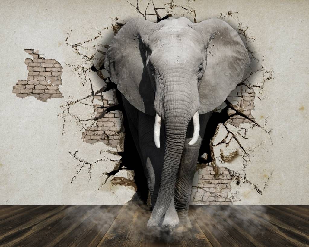 Regelmatigheid terugbetaling Verdampen 3D Olifant uit de muur op fotobehang - Fotobehang