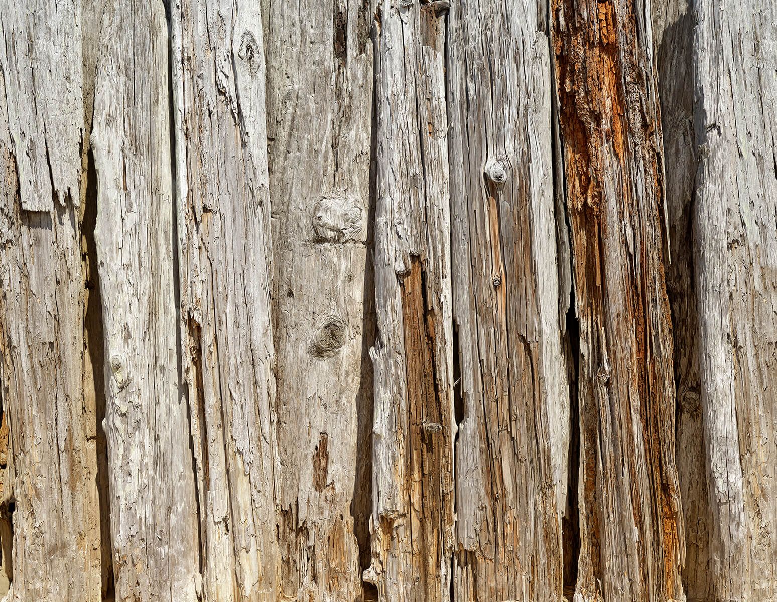 schotel Aanvankelijk Afbreken Verticaal oud hout - Fotobehang