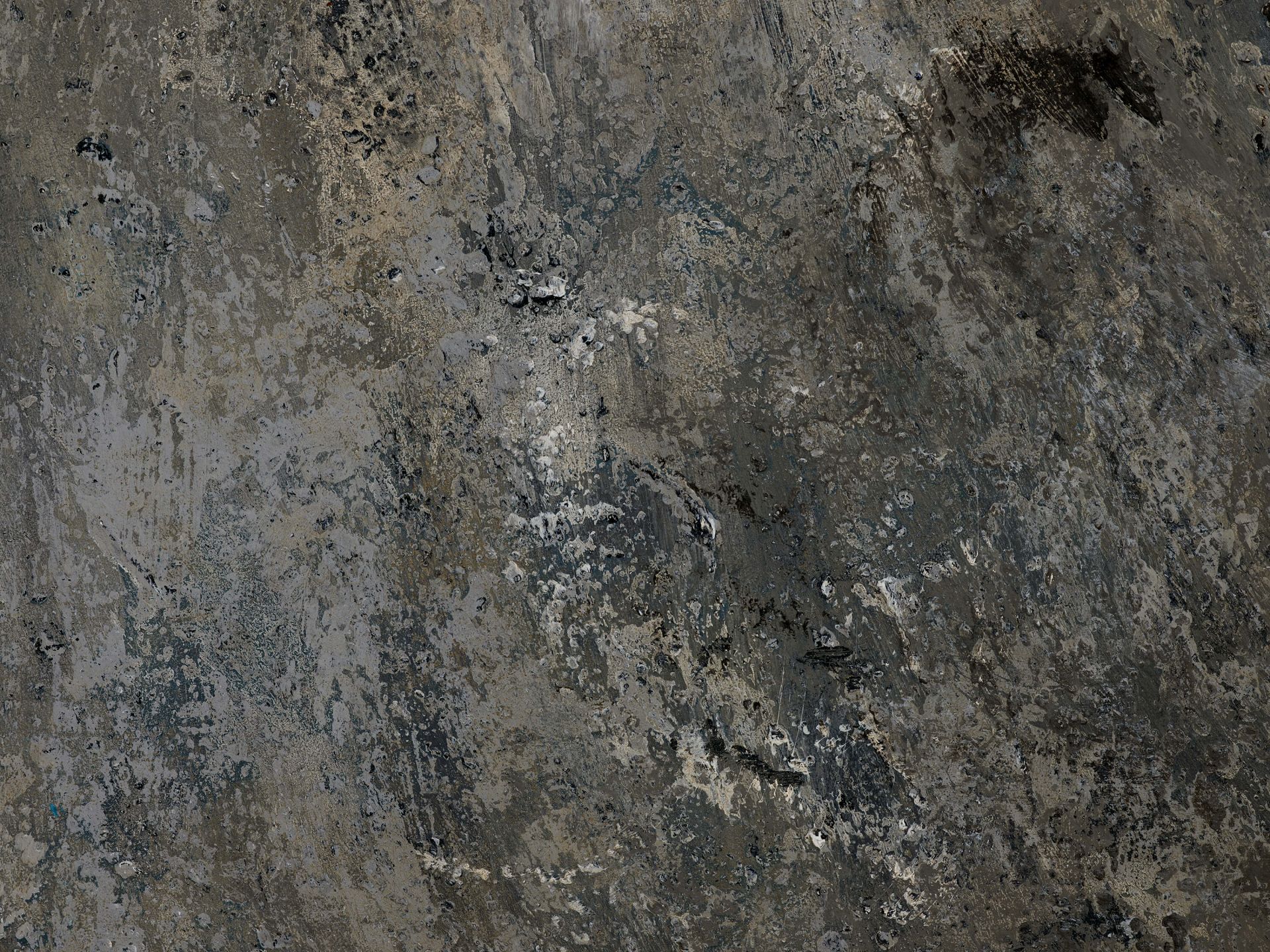 Zijdelings wervelkolom visueel Geschilderde grijstinten - Fotobehang