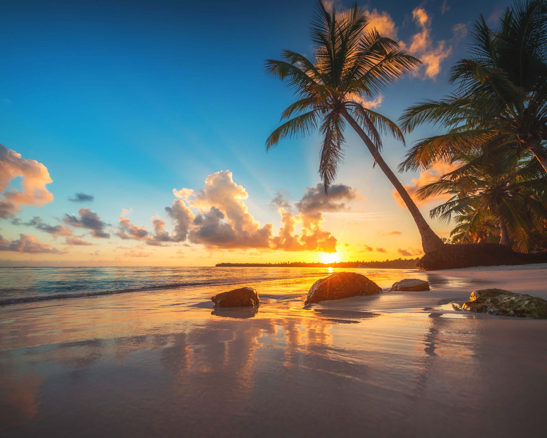 Palmbomen Met Zonsondergang Fotobehang