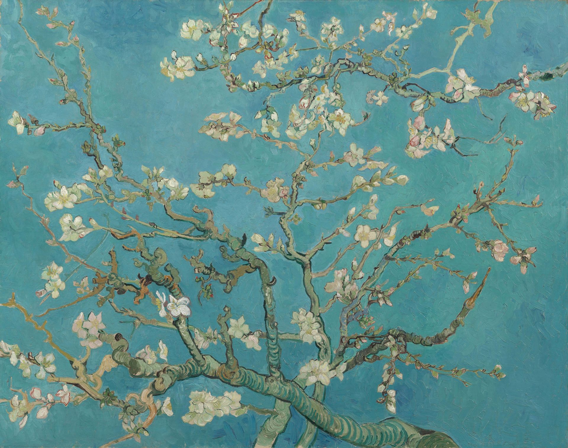 Door Gom Pittig Geschilderde Amandelbloesem (Van Gogh) - Fotobehang